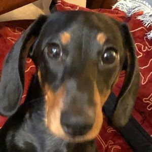 Meet your Posher, Jan